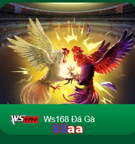 88aa